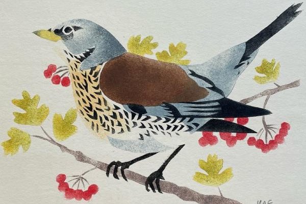 Pochoir painting of fieldfare